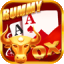 rummy top 10